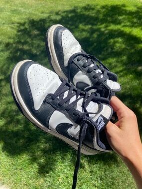 Nike Panda Low Dunks